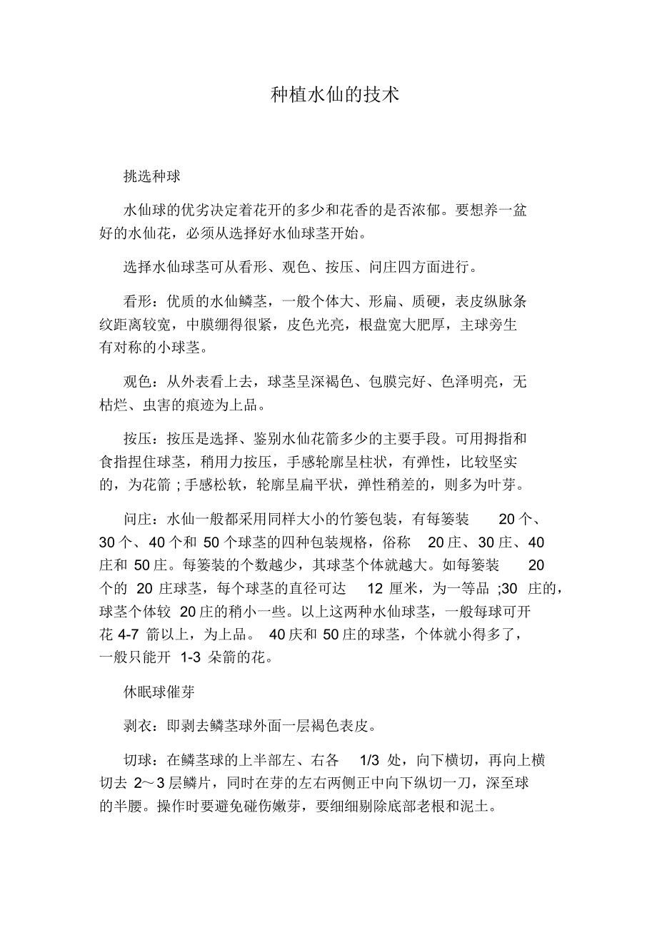 种植水仙的技术_第1页