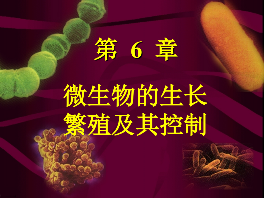 微生物课件 第6章 微生物的生长繁殖及其控制-jdh+作业_第1页