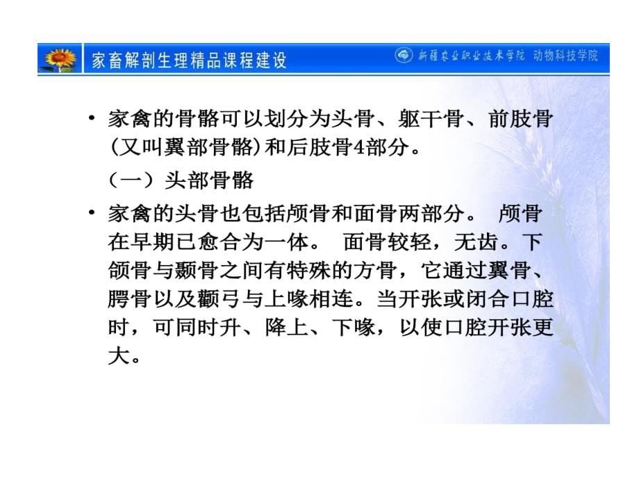 家畜解剖和生理十一内分泌系统课件_第5页