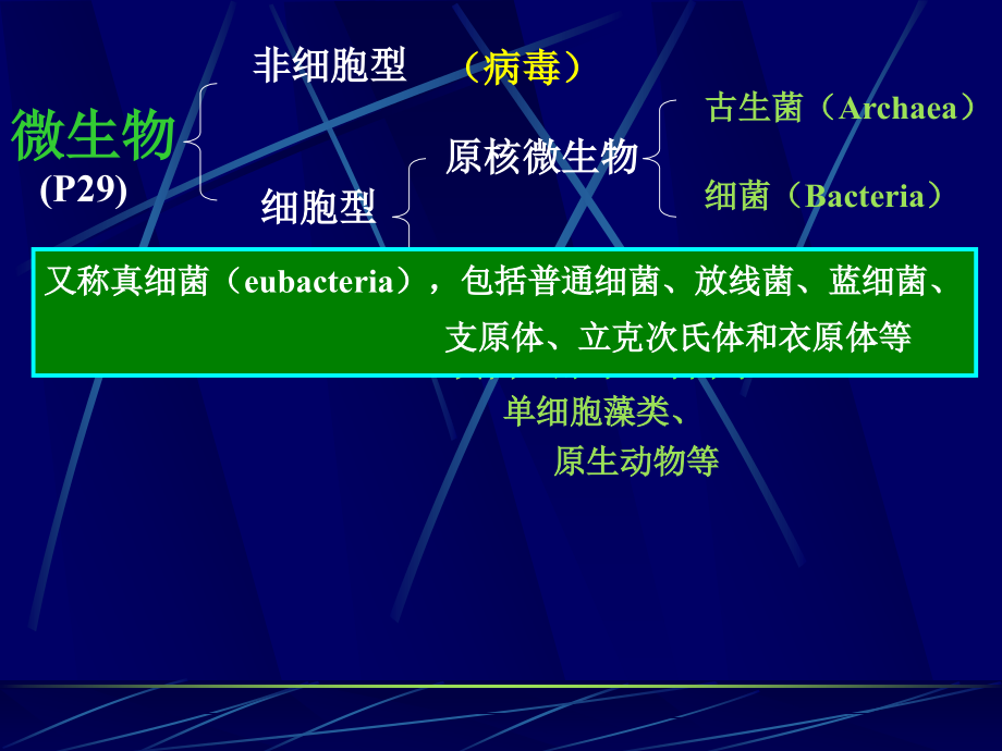 微生物课件 第3章 微生物类群与形态结构a-jdh+作业_第2页