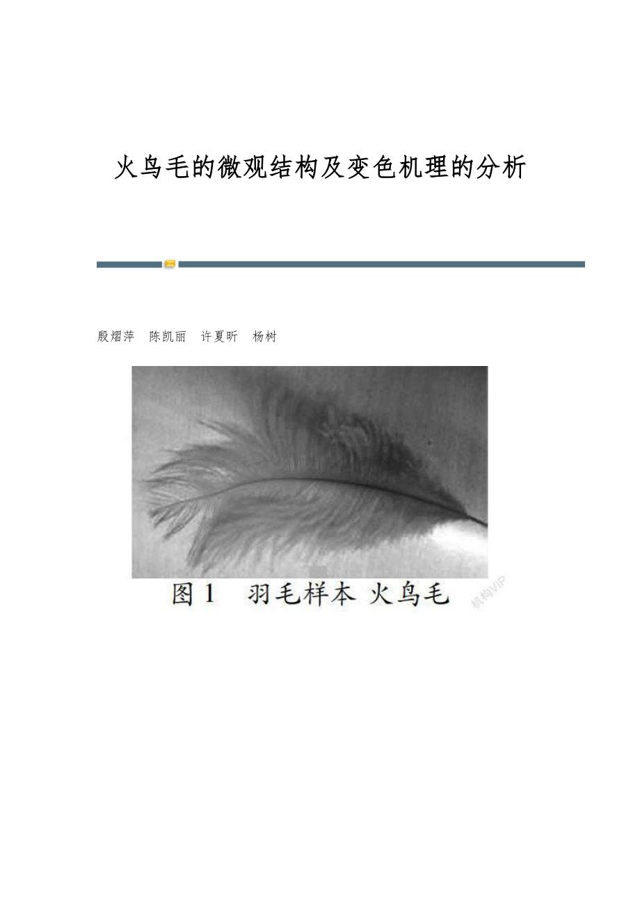 火鸟毛的微观结构及变色机理的分析_第1页