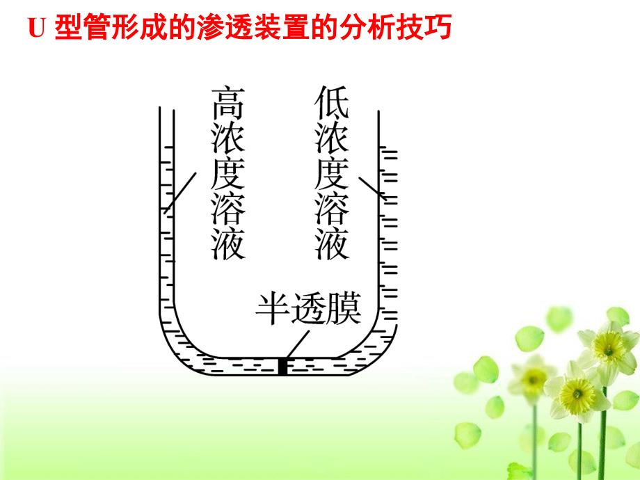 细胞的物质输入与输出一轮复习课件_第4页