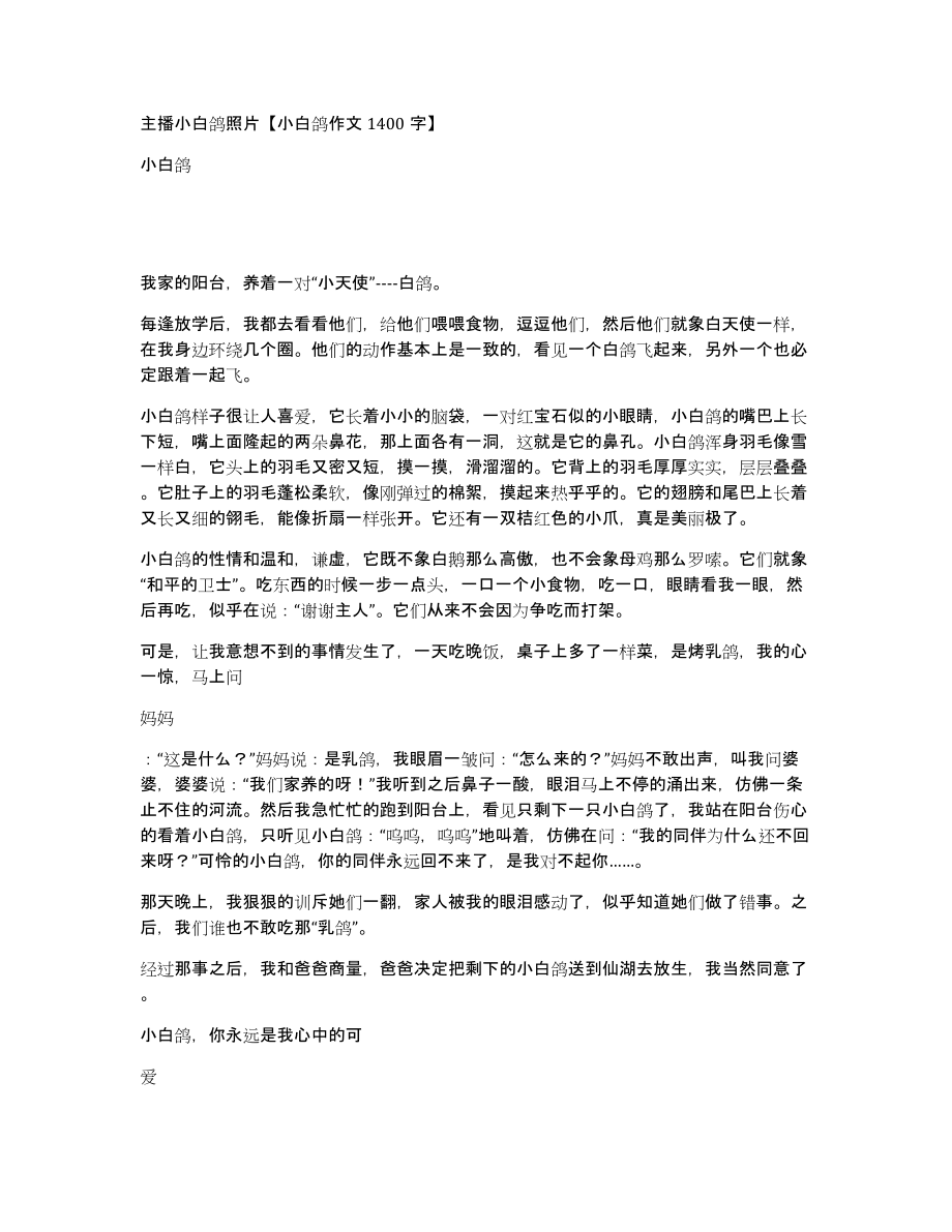 主播小白鸽照片小白鸽作文1400字_第1页