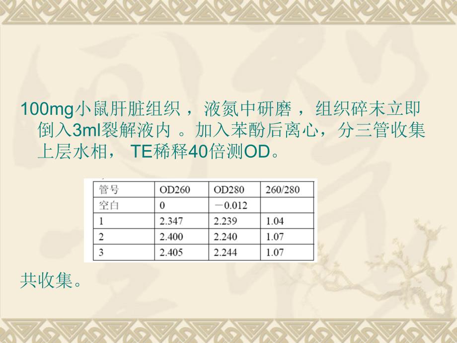 《RNA提取结果分析》PPT课件_第2页