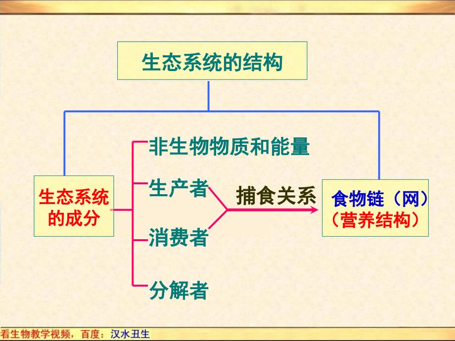 汉水丑生-生态系统的能量流动_第1页