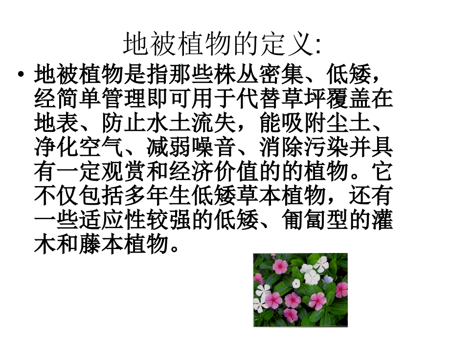 《校园地被植物调查》PPT课件_第2页