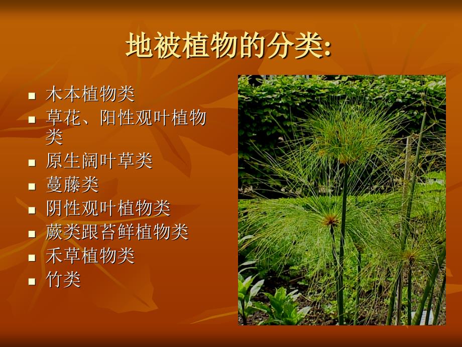 《校园地被植物调查》PPT课件_第3页