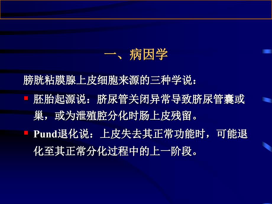 腺性膀胱炎医学宣教课件_第2页