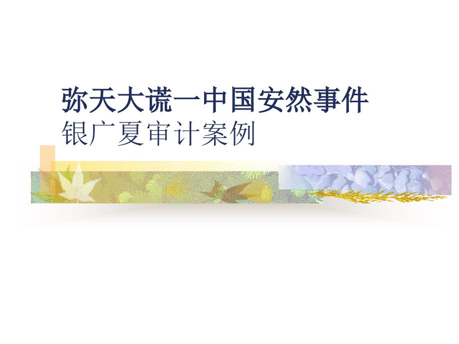 银广夏案例分析分析课件_第1页