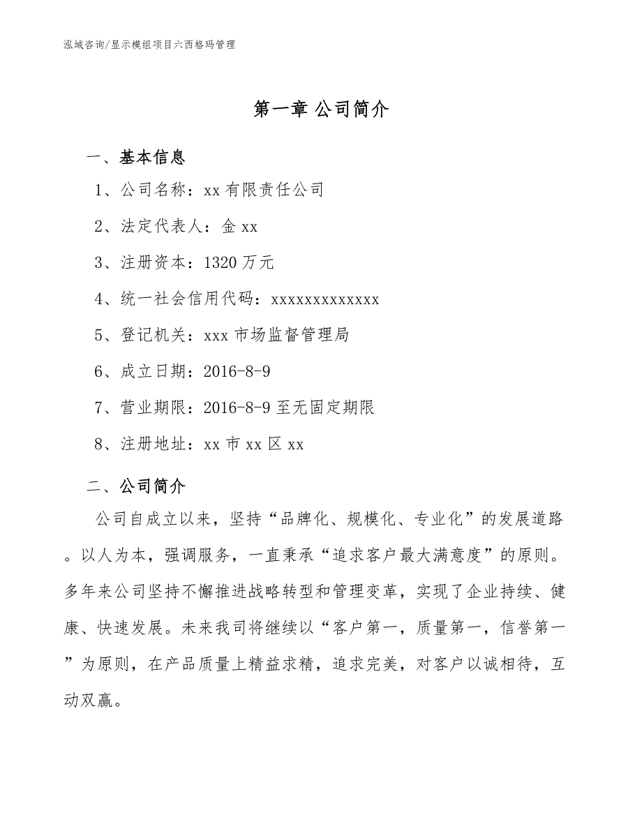 显示模组项目六西格玛管理（参考）_第4页