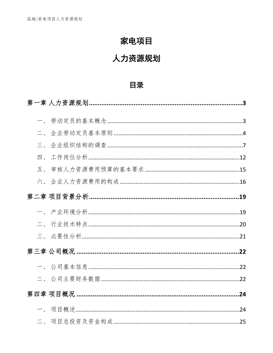 家电项目人力资源规划_范文_第1页