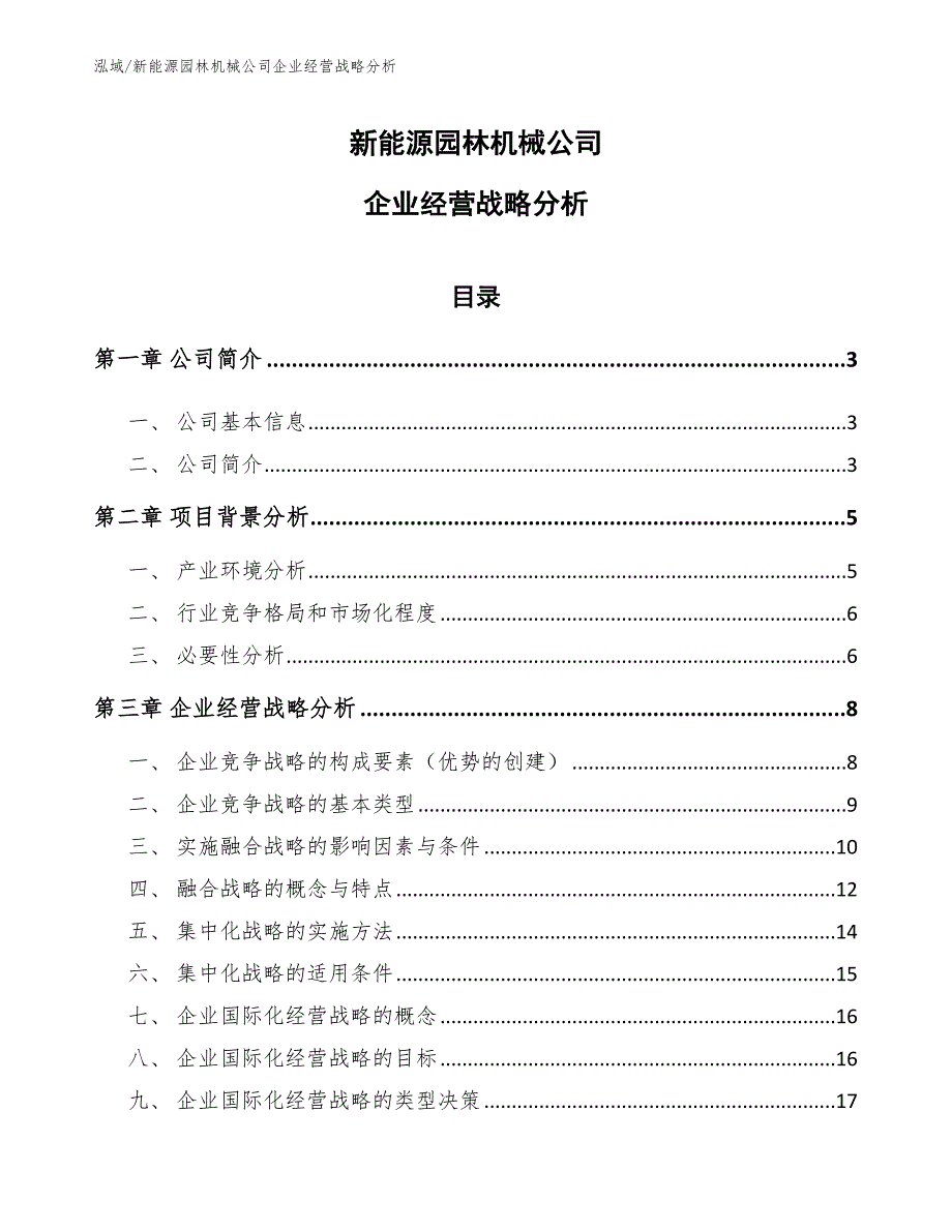 新能源园林机械公司企业经营战略分析（参考）_第1页