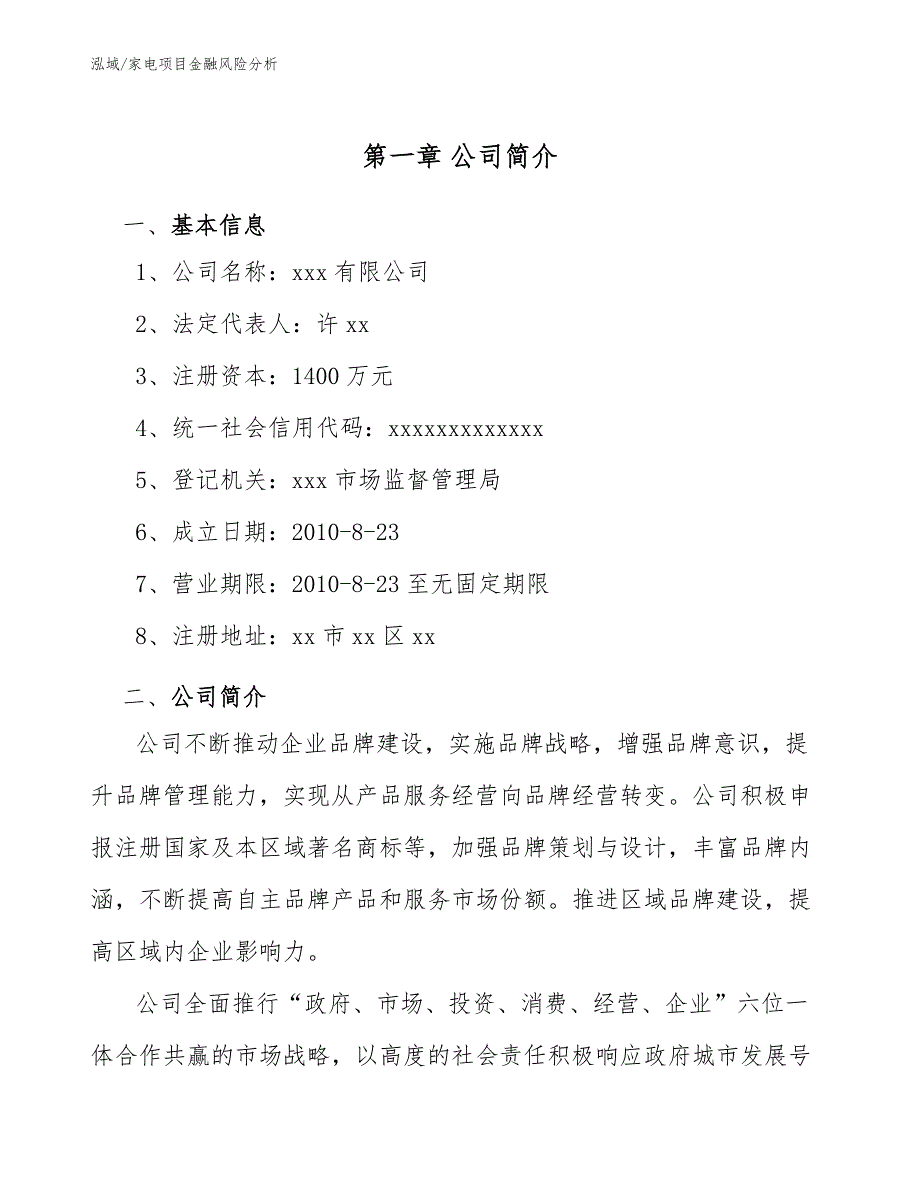 家电项目金融风险分析_第3页