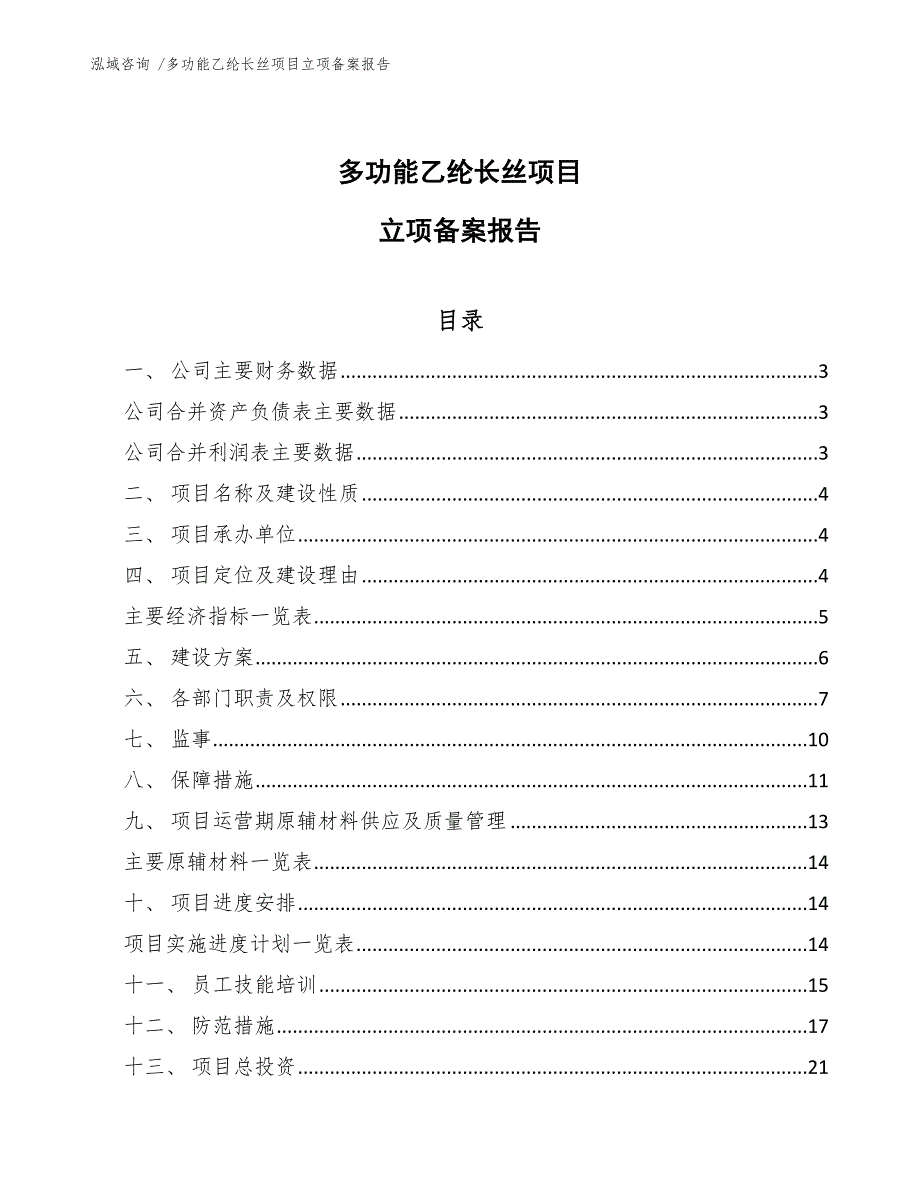 多功能乙纶长丝项目立项备案报告-（模板参考）_第1页