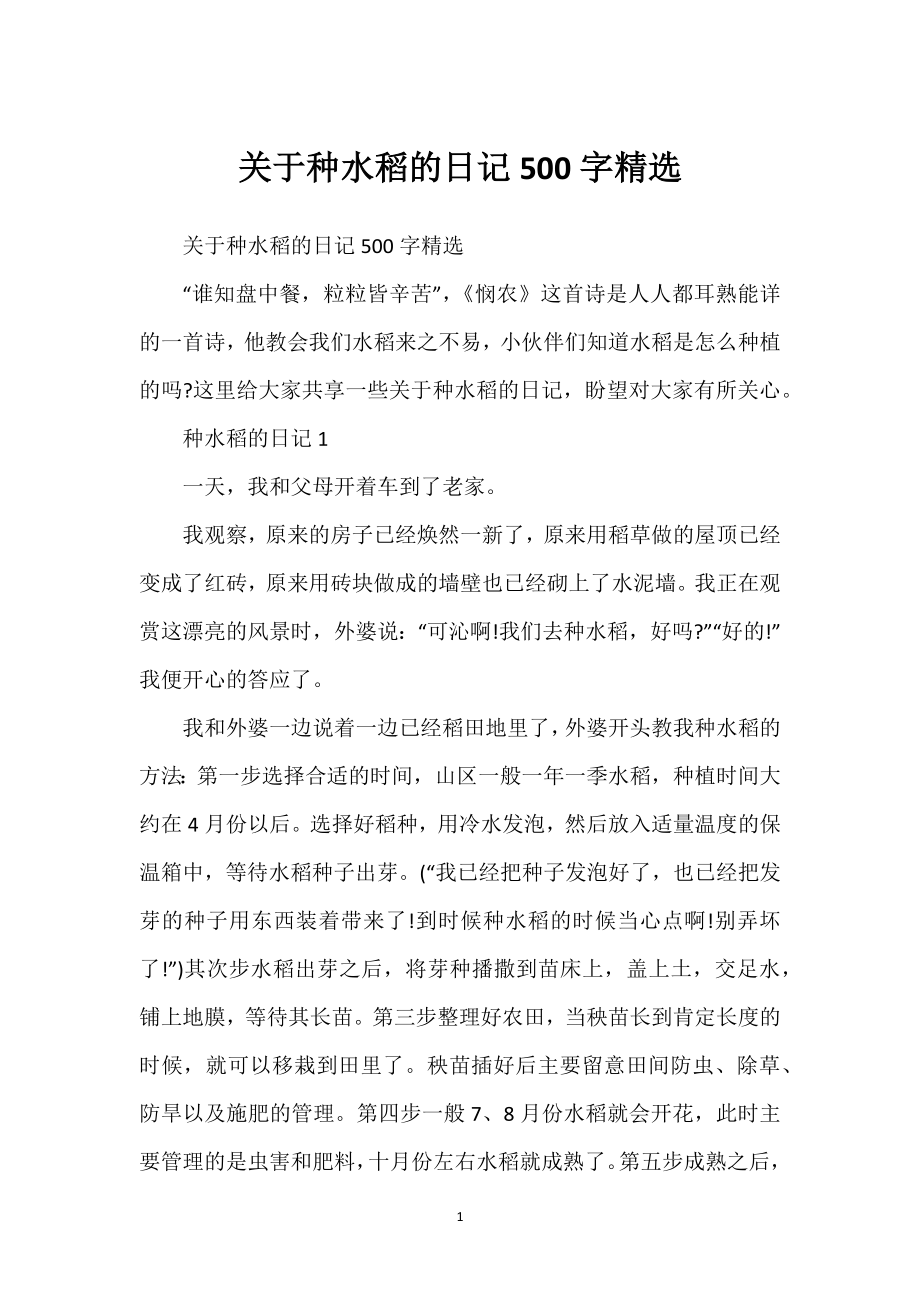 关于种水稻的日记500字精选_第1页
