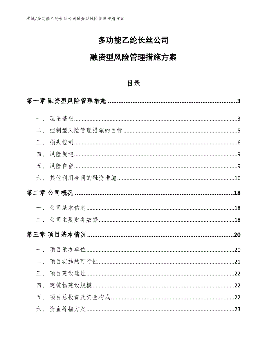 多功能乙纶长丝公司融资型风险管理措施方案（参考）_第1页