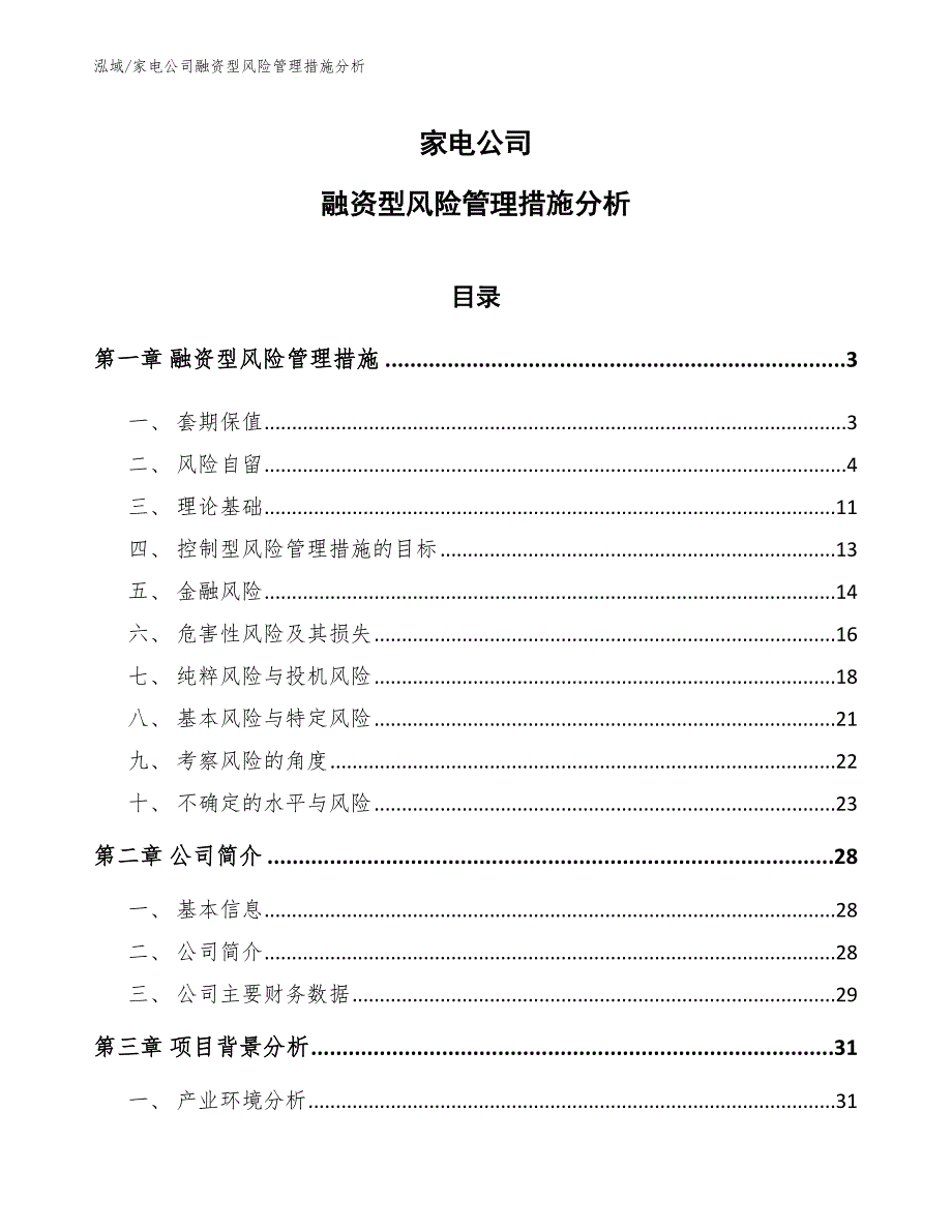 家电公司融资型风险管理措施分析【范文】_第1页