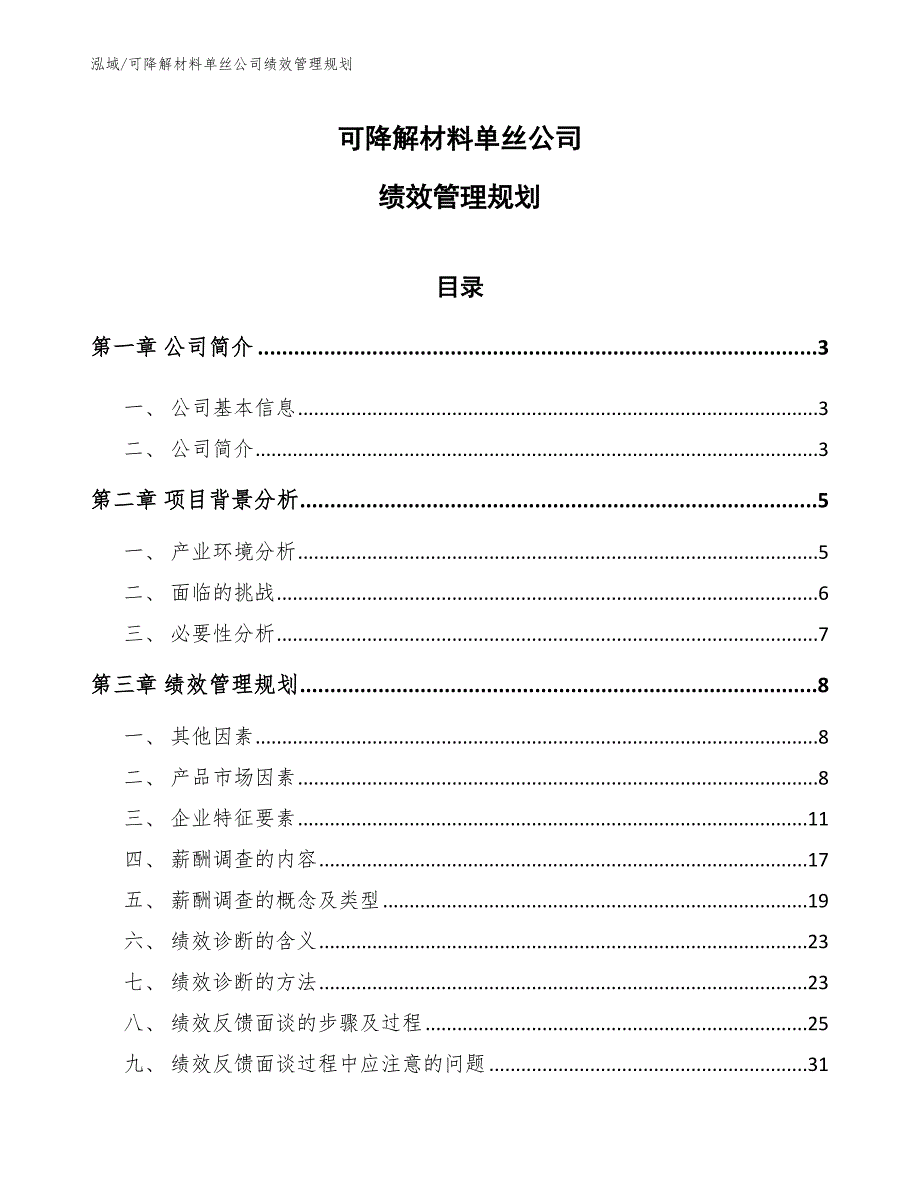 可降解材料单丝公司绩效管理规划（参考）_第1页