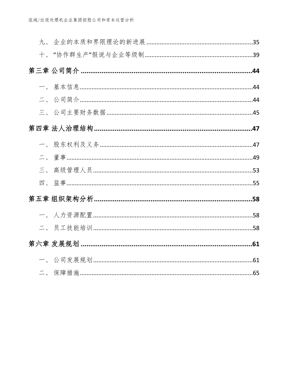 垃圾处理机企业集团控股公司和资本运营分析（范文）_第2页