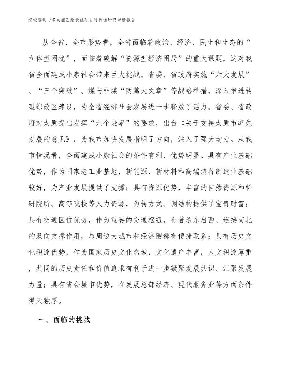 多功能乙纶长丝项目可行性研究申请报告-（参考范文）_第5页