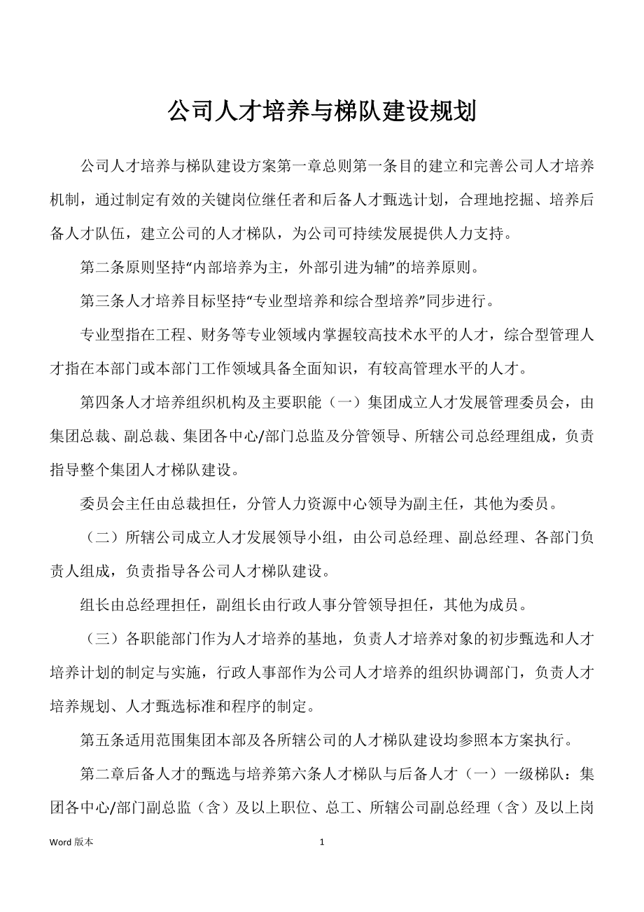 公司人才培养与梯队建设规划_第1页