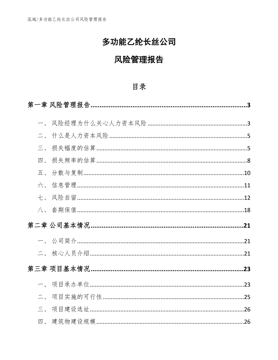 多功能乙纶长丝公司风险管理报告【范文】_第1页