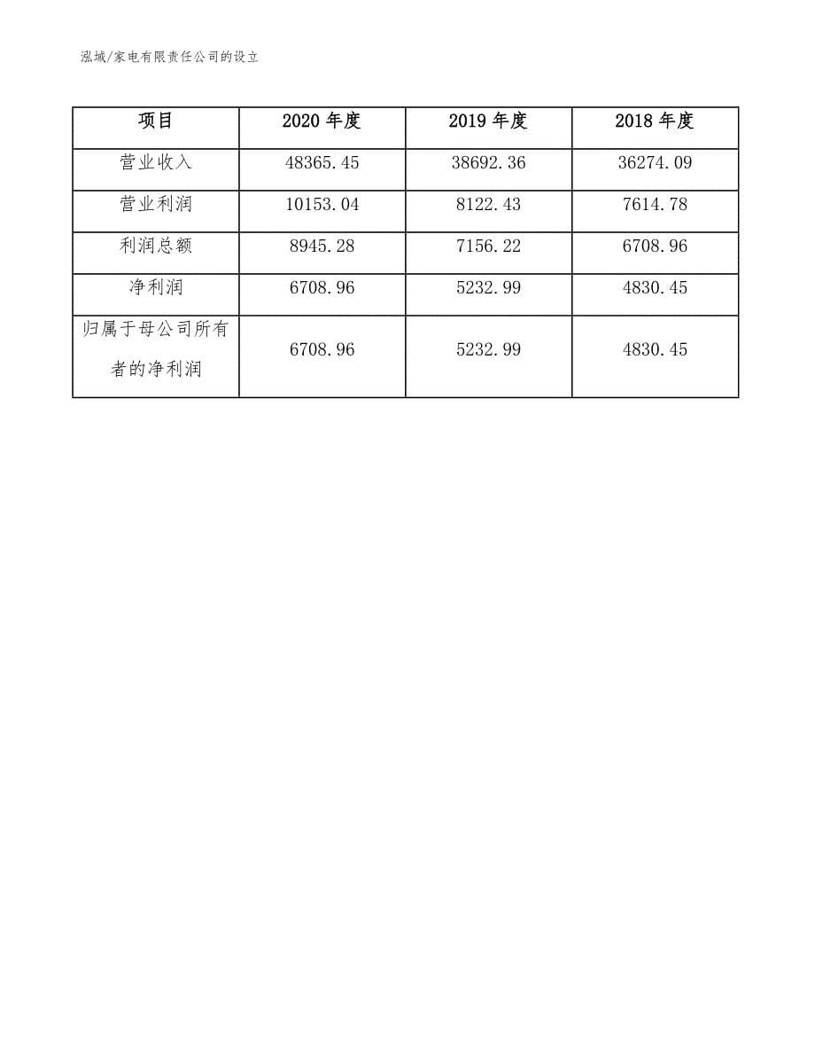 家电有限责任公司的设立（参考）_第5页