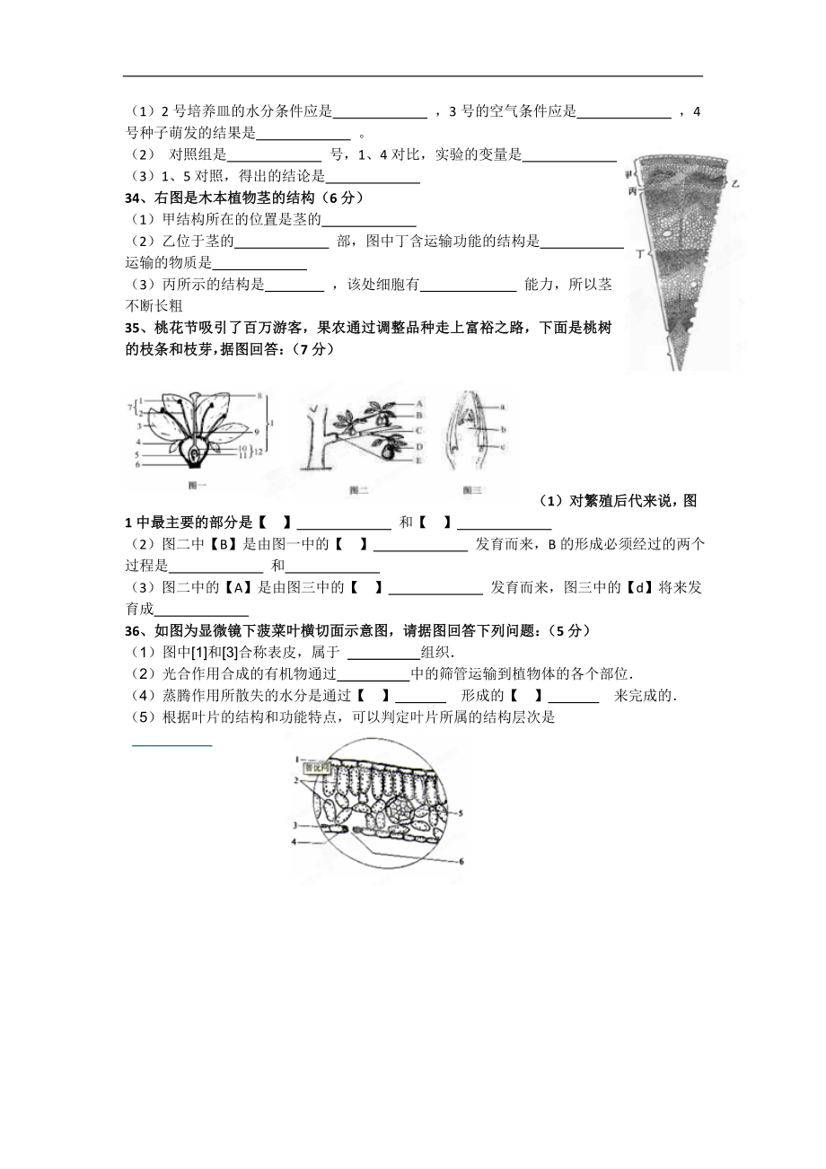 山东省文登市实验中学2012-2013学年七年级下学期期中考试生物试题_第4页