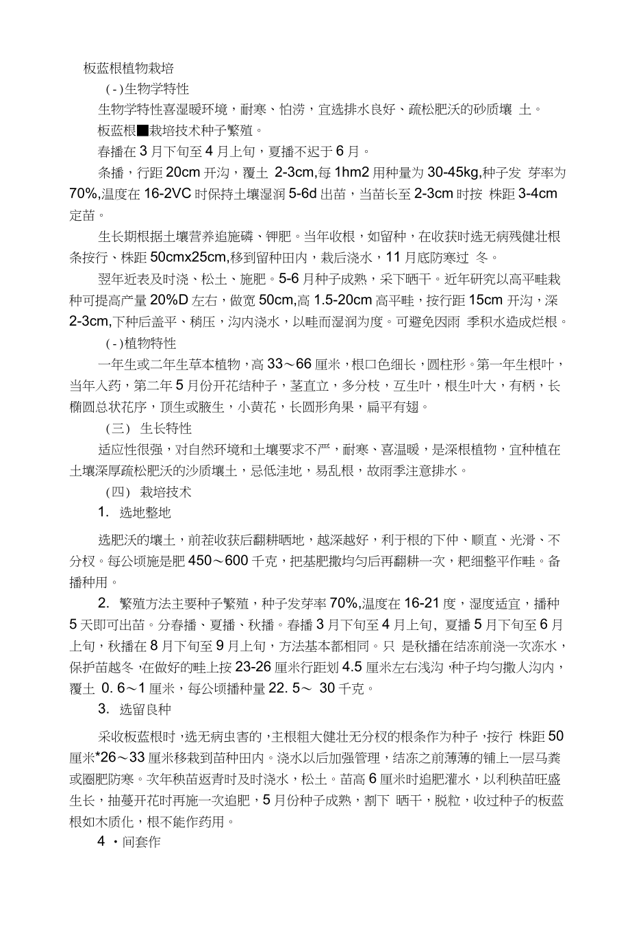 板蓝根植物栽培_第1页