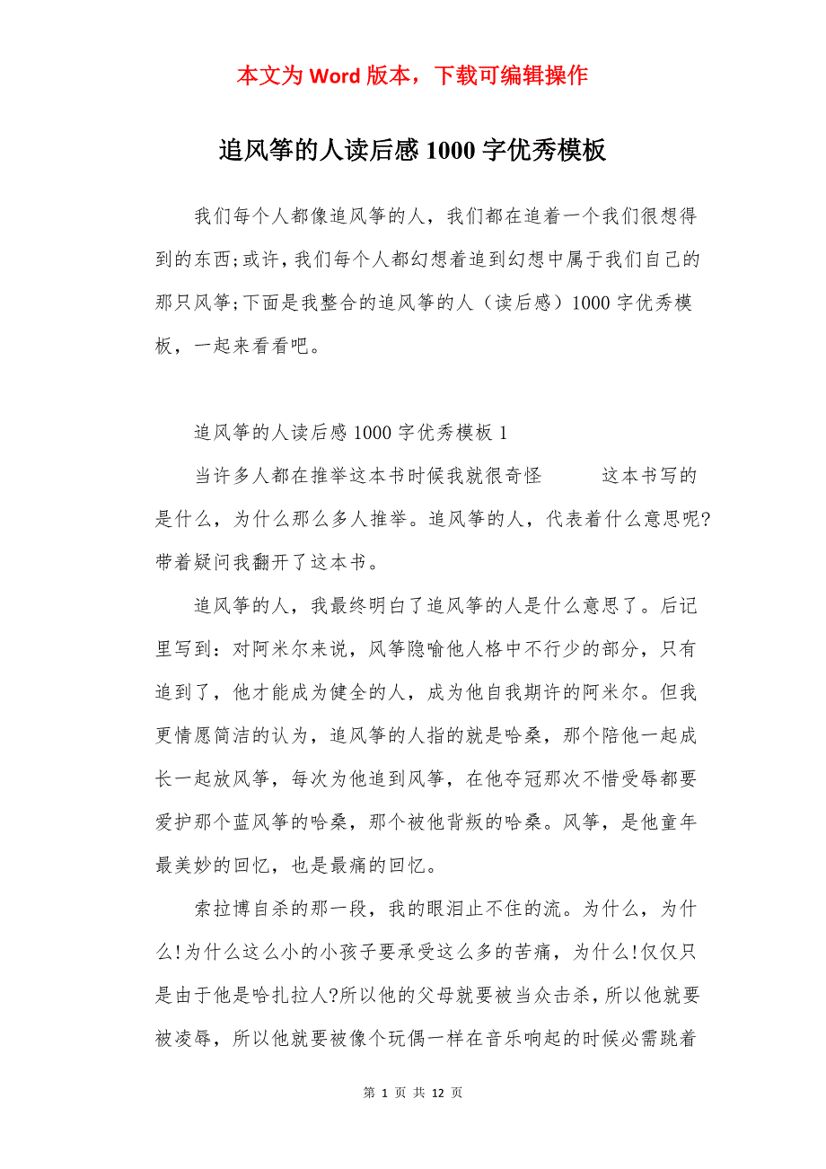 追风筝的人读后感1000字优秀模板_第1页