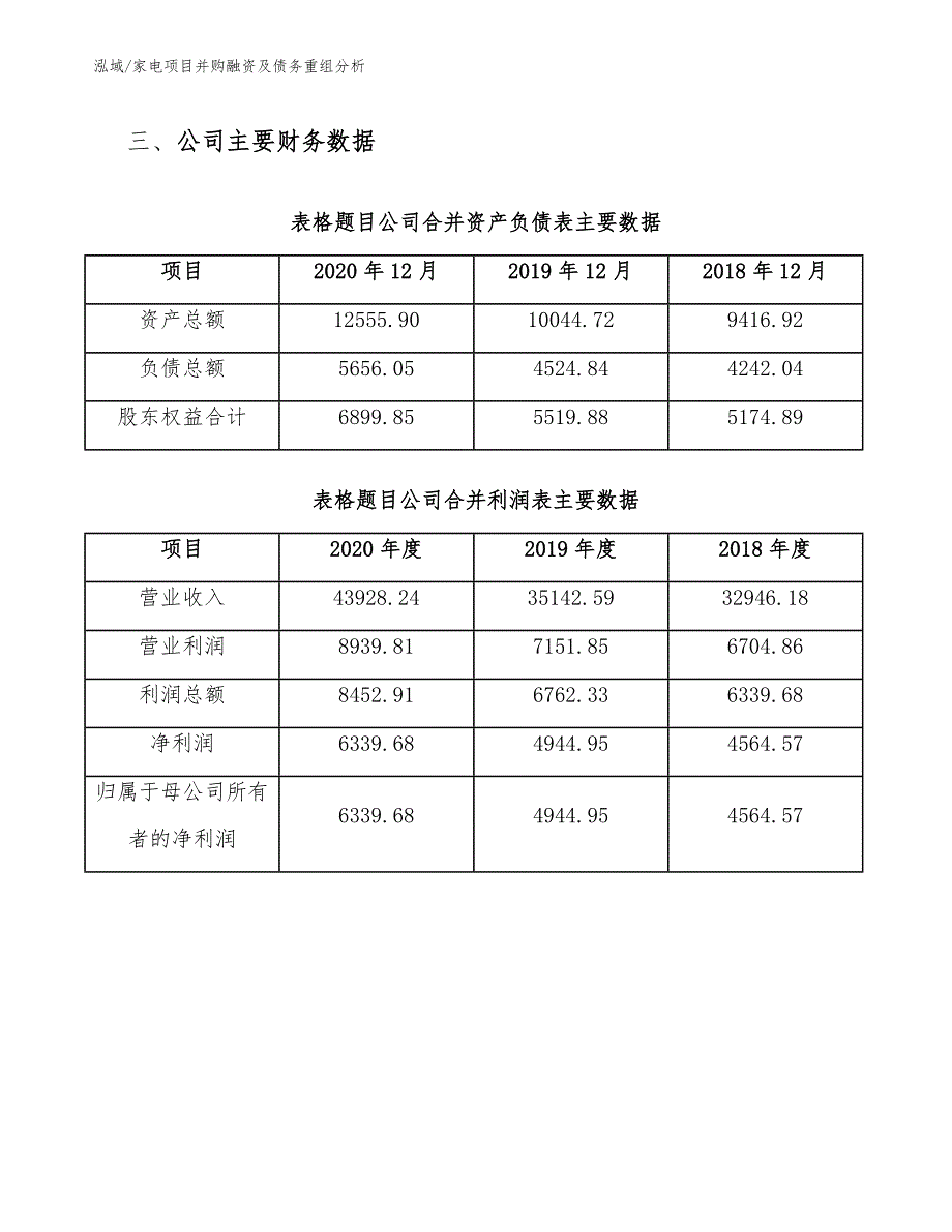 家电项目并购融资及债务重组分析_第4页