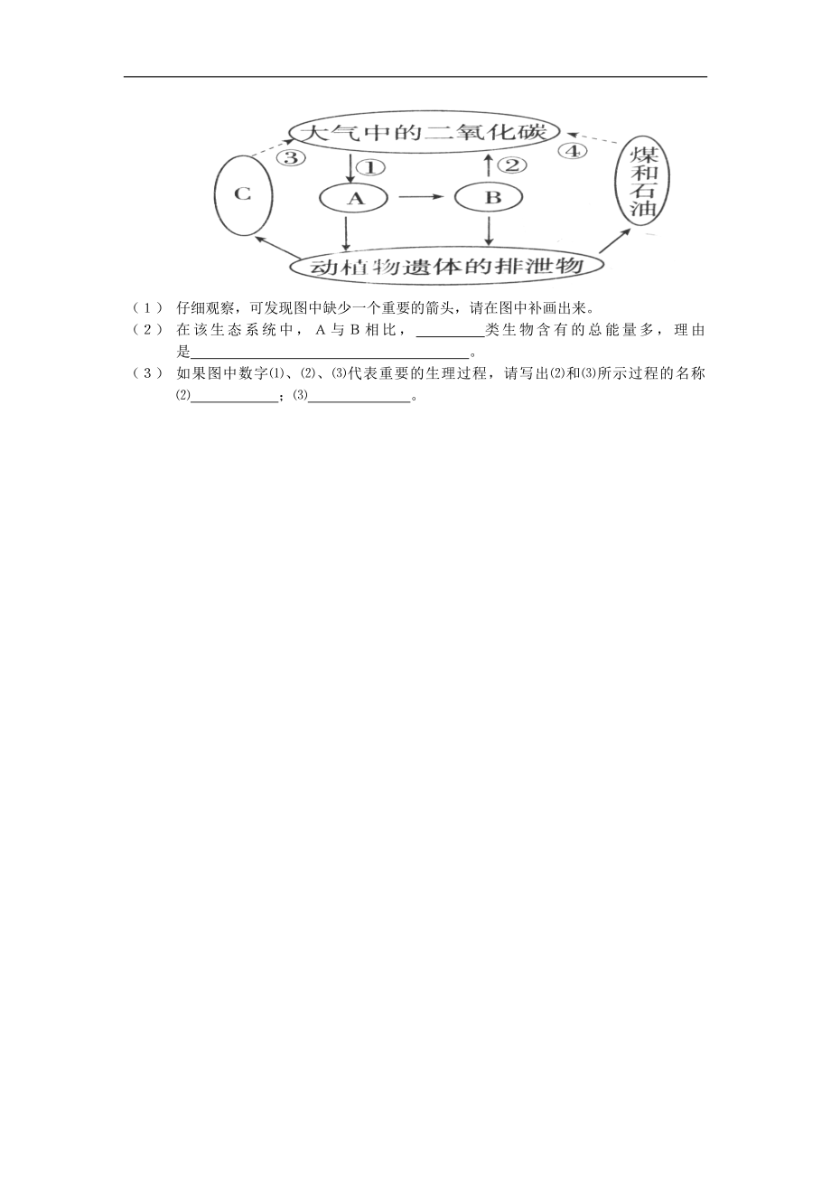 山东省德州市夏津实验中学八年级生物下册第三节《能量流动和物质循环》学案（无答案）新人教版_第2页