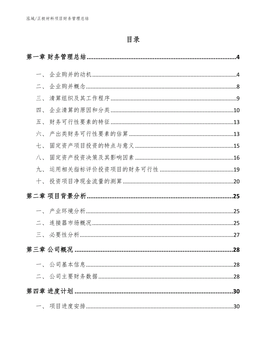 正极材料项目财务管理总结（参考）_第2页