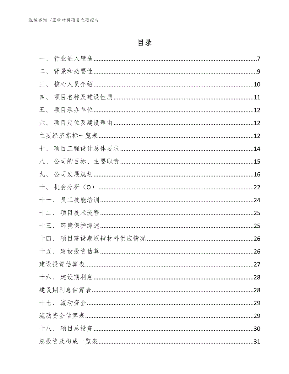 正极材料项目立项报告（模板范文）_第2页