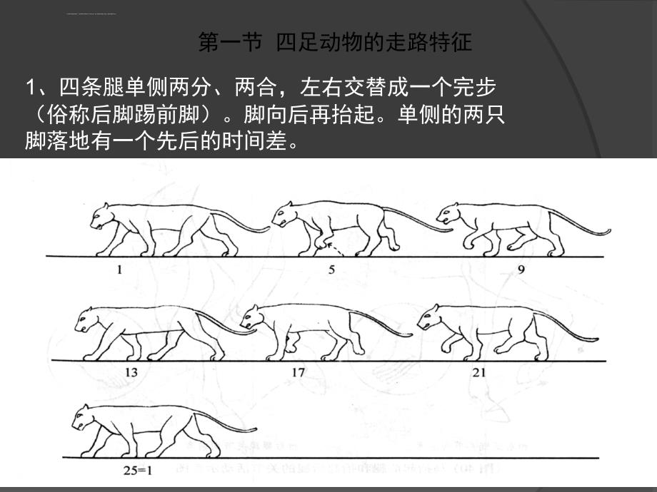 各种动物的运动规律总结ppt课件_第2页