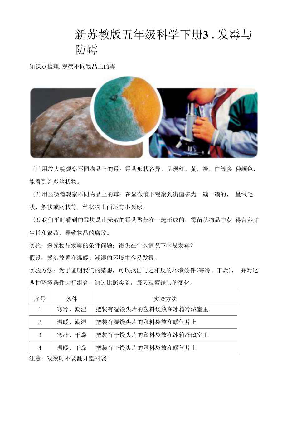 新苏教版五年级科学（下册）3发霉与防霉知识点梳理及经典考题练习_第1页