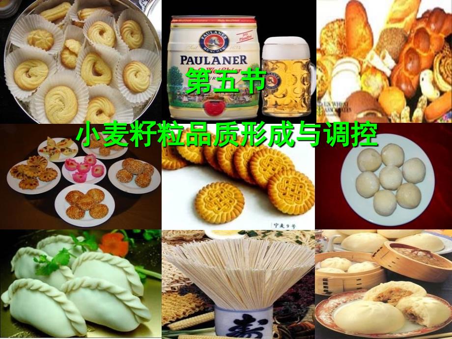 作物栽培课件 第五节 小麦籽粒品质形成及调控_第1页