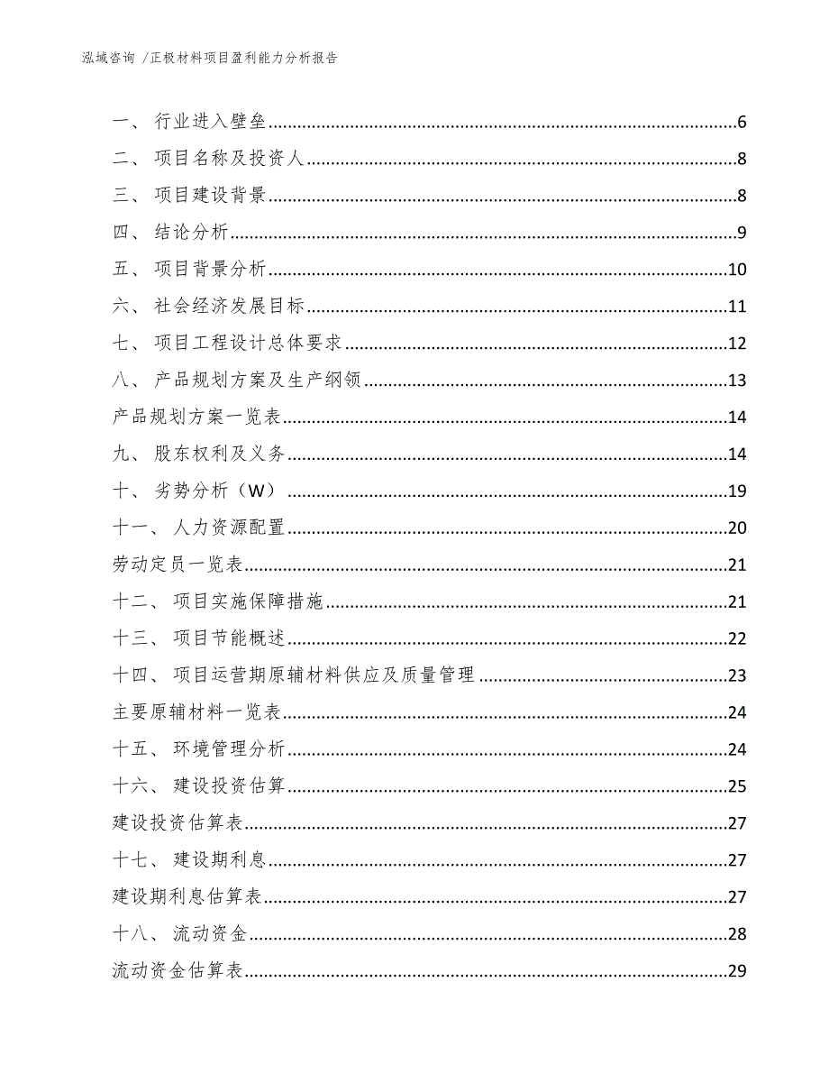 正极材料项目盈利能力分析报告（参考模板）_第3页