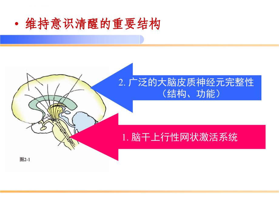 意识障碍的分级与评估ppt课件_第4页