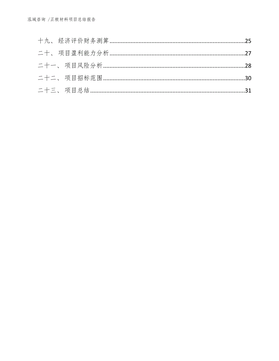 正极材料项目总结报告-（模板范文）_第2页