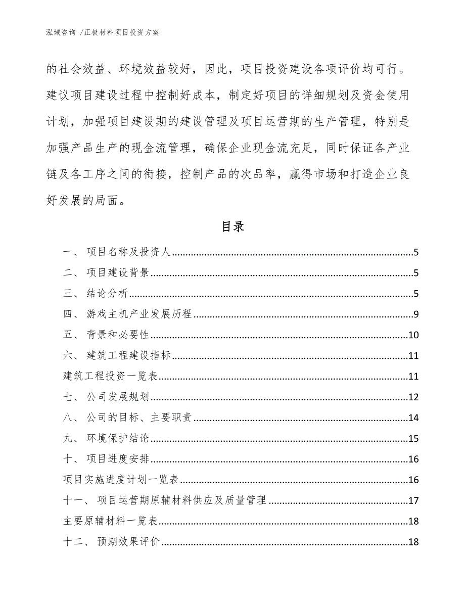 正极材料项目投资方案-（模板）_第3页