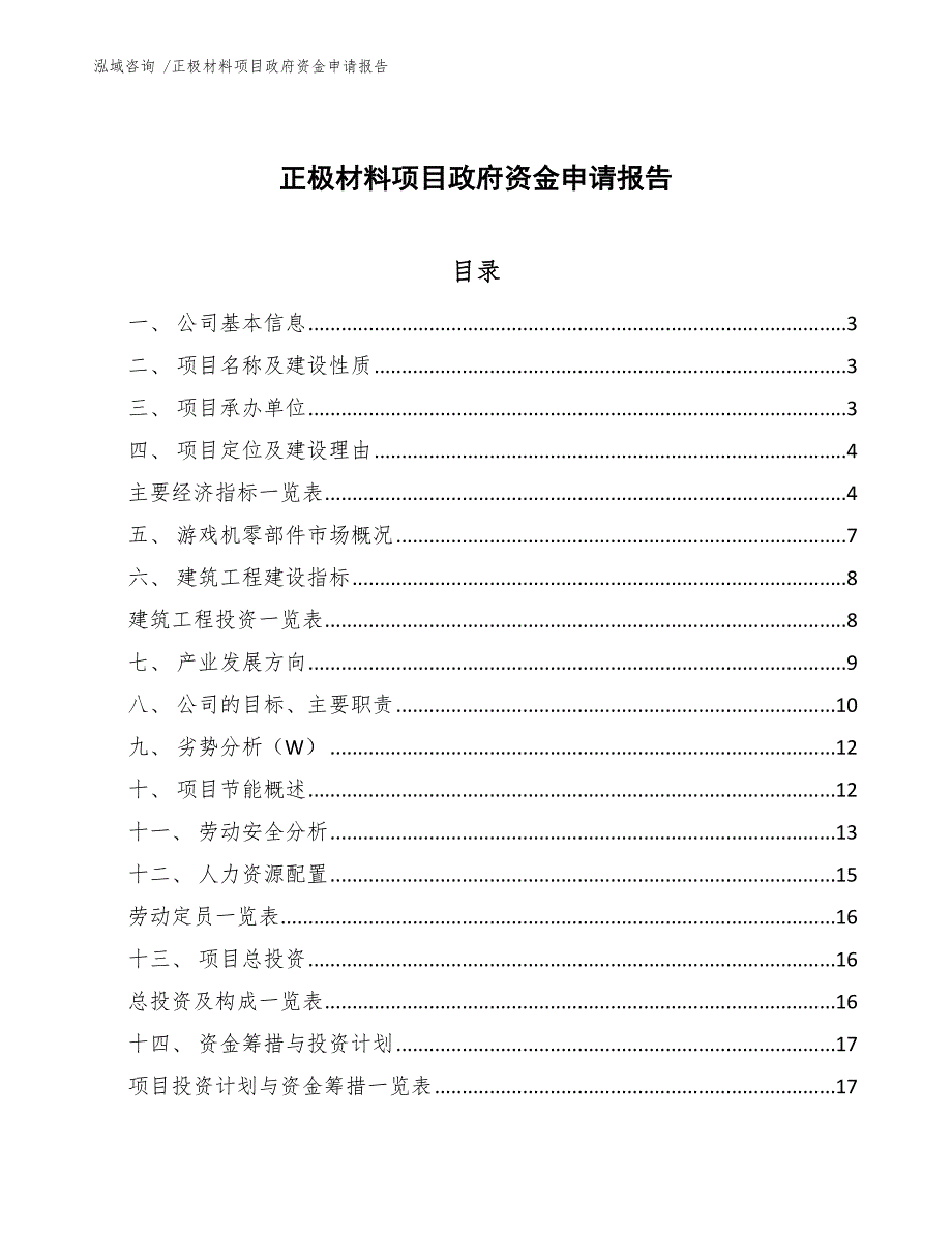 正极材料项目政府资金申请报告_第1页