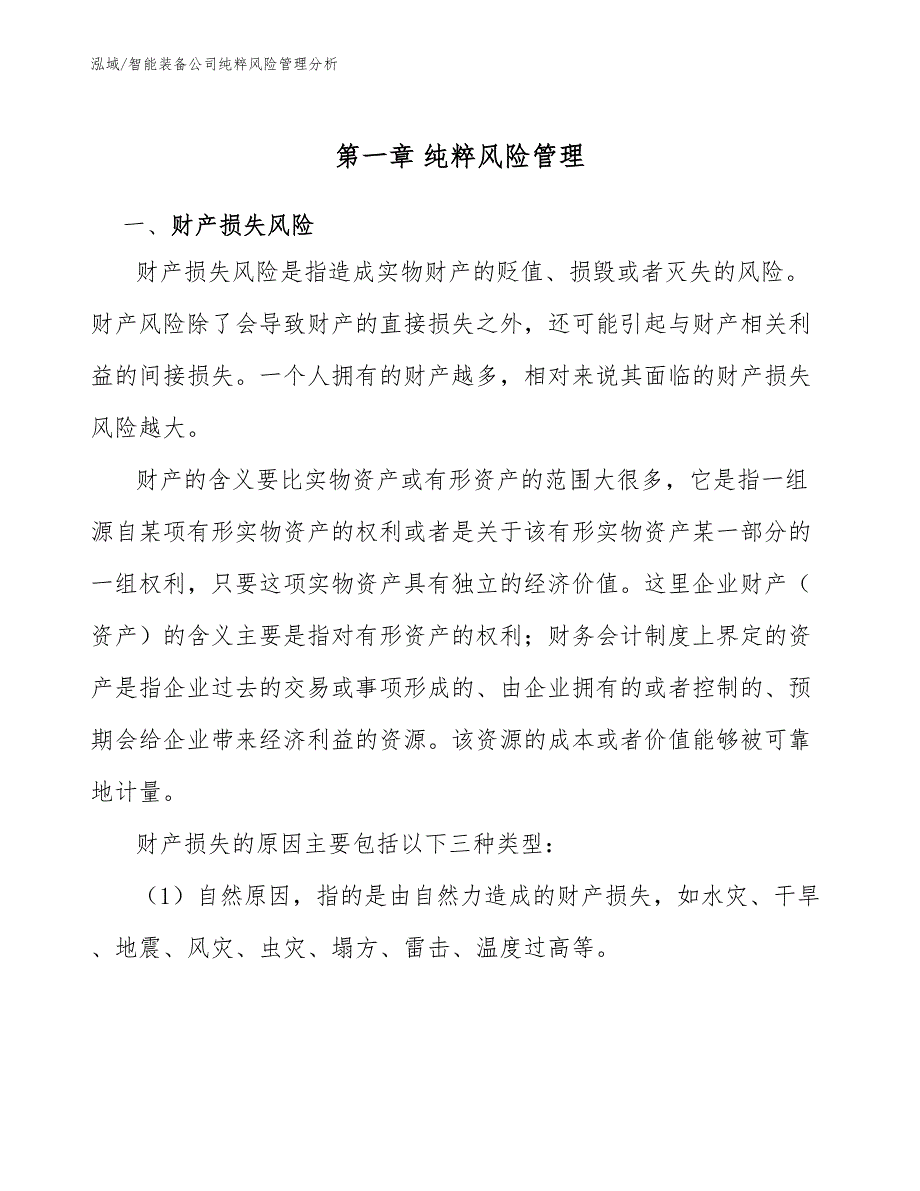 智能装备公司纯粹风险管理分析【范文】_第4页