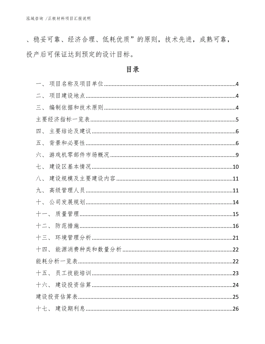 正极材料项目汇报说明范文模板_第2页