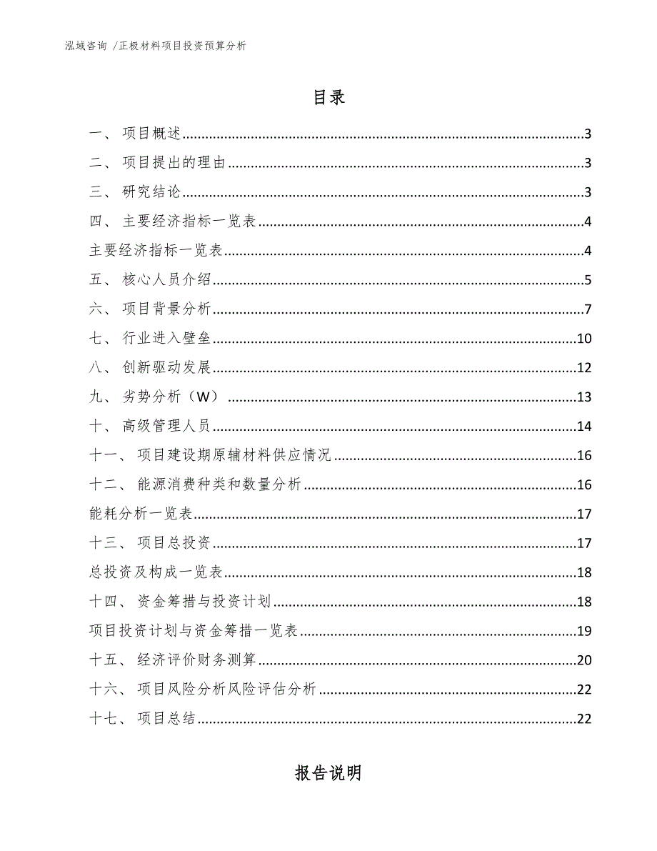 正极材料项目投资预算分析范文参考_第1页