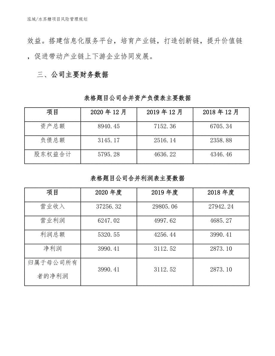 水苏糖项目风险管理规划（范文）_第5页