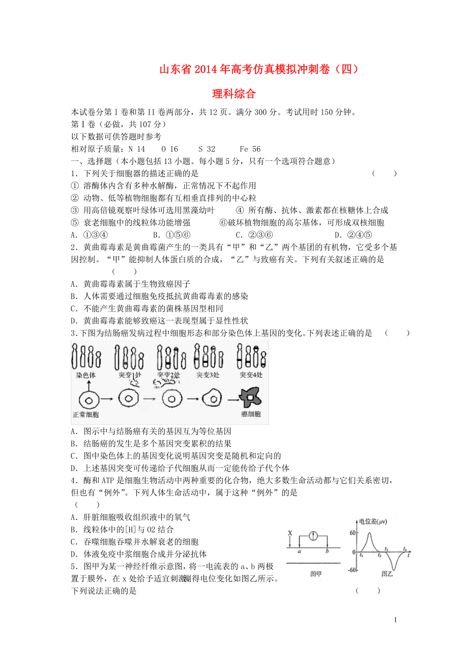 山东省2021届高考生物仿真模拟冲刺考试试题（四）_第1页