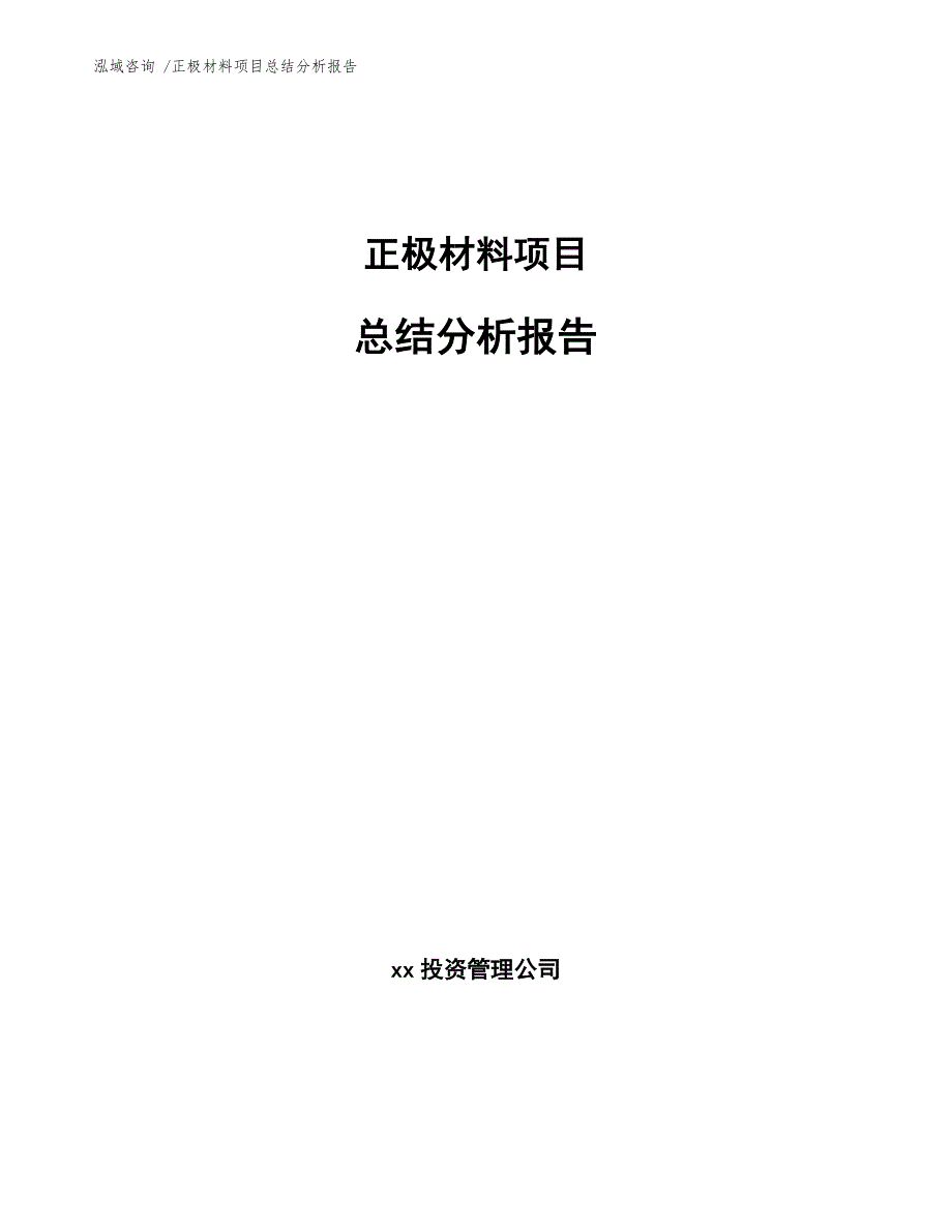 正极材料项目总结分析报告模板_第1页