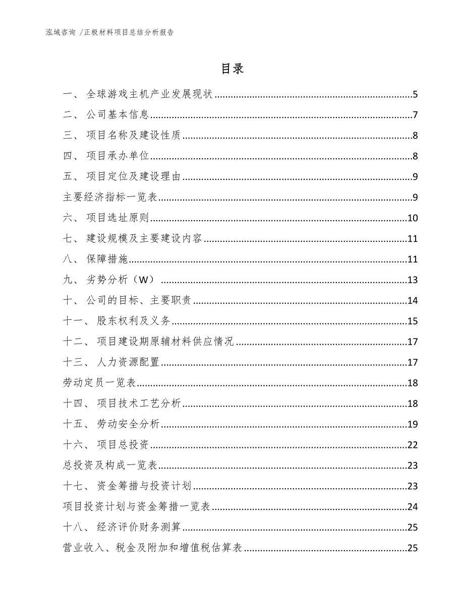 正极材料项目总结分析报告模板_第2页