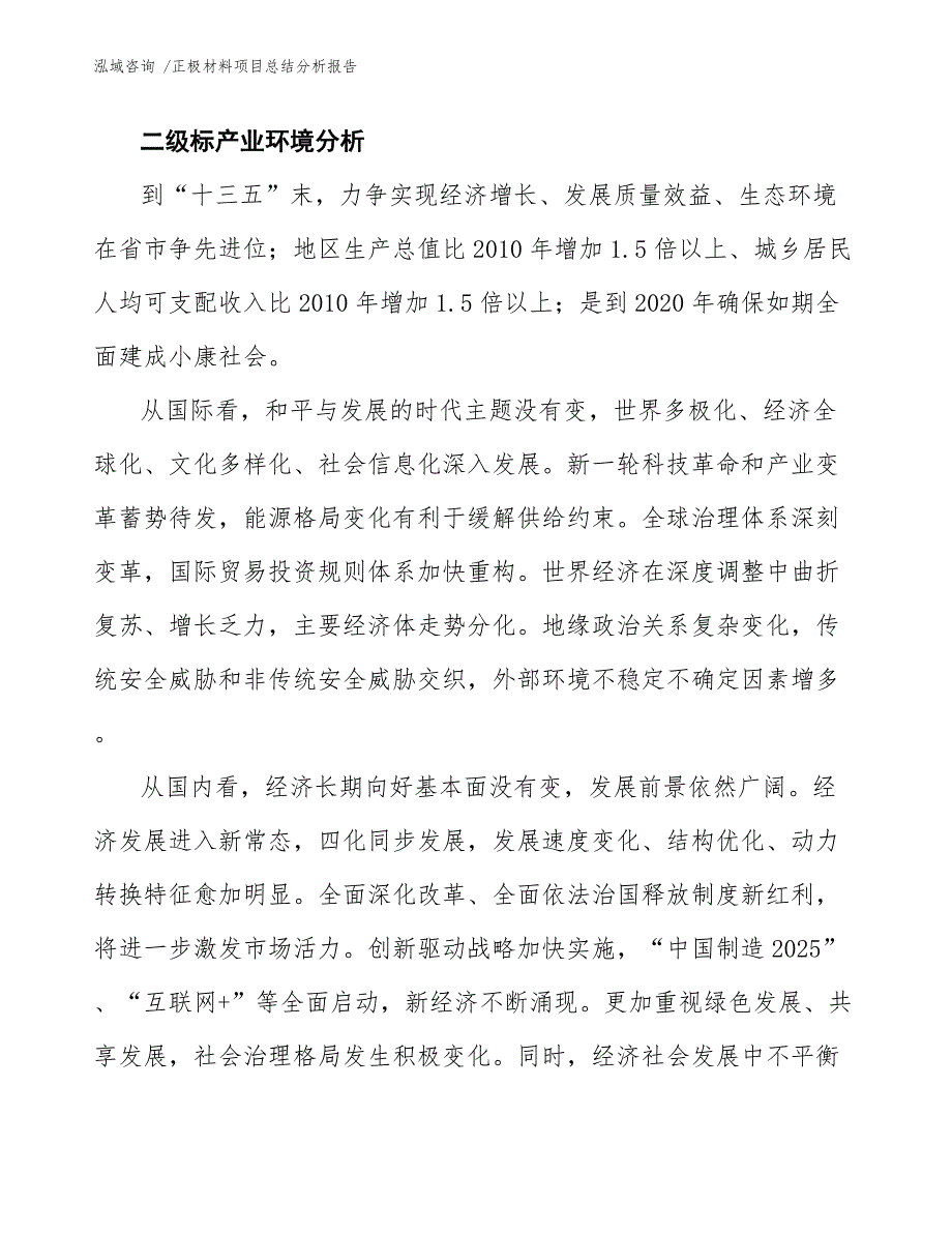 正极材料项目总结分析报告模板_第4页